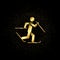 Skier skiing gold, icon. Vector illustration of golden particle