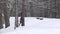 Skier woman skiing on ski trail and runner man in winter park. 4K