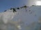 Skiers climb the trail on snow-capped top