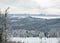 Skiers descend from the mountain forests