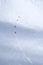 Skiers on the glacier in Alps