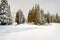 Skiers on a groomed trail with snow covered trees, Japan