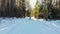 Skiers ride on the ski run through the woods. Shot with quadracopter Sunny winter day.