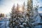 Skiers on the ski lift riding up at ski resort with beautiful background of forests