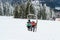 Skiers on ski lift to mountain Zakhar Berkut, Carpathian mountains in Slavske, Ukraine on January 1