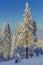 Skiers on ski runs, Poiana Brasov, Romania