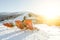 Skiers and snowboarders resting in chairs at Chopok downhill, Jasna - Slovakia