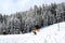 Skiers on snowy mountainside