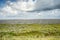 Skies at the Waddenzee in the north of the Netherlands