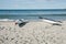 Skiffs on beach with surfers in background.