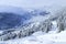 Skiing through alpine forest in French winter sport resort
