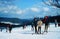 Skiing on a hill in the black forest. In the mid 1960s. Germany.