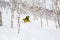 Skiing powder through aspen trees of Mount Niseko, Japan backcountry