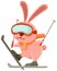 Skiing rabbit