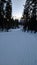 Skiing in the snowy forests of northerns Sweden