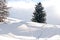Skiing tracks around fir tree in Dolomites, Italy