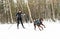 A skijoring woman have fun in forest