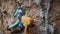 skilful athletic male rock climber climbs on overhanging rock cliff. man using legs for fixing on wall and resting