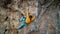 skilful athletic male rock climber resting while climbs on overhanging rock cliff. man using legs for fixing on wall and