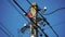 Skilled electrician fixes wires standing on ladder near high pole against blue sky on summer day backside view