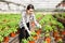 Skilled florist woman engaged in cultivation of plants of mint in greenhouse