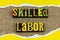 Skilled labor salary highly trained professional employee