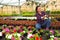 Skilled Latina florist examining potted petunia