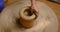 Skilled potter hands shaping the clay on potter wheel. Pot throwing handicraft bowl, jar, pot, jug. Rajasthan, India