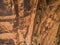 A skilled rock climber on the desert walls of Moab Utah