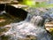 Skillet Creek Cascades in Wisconsin