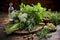 skillful chop of fragrant herbs on wooden surface