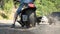 Skillful motorcyclist gasses on large bike with rubber tires