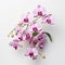 Skillful Orchid Flower Arrangement On White Background