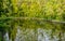 Skimmer floats on surface of water in pond. Beautiful and clean pond with plants reflection on surface of water. Skimmer collects