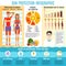 Skin cancer prevention sun uv protection infographic sunscreen medical protect human sunburn health care vector