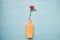 Skin care brightening cosmetic bottle mock up. Orange beauty product on blue background with flower decoration. Health