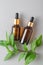Skin care. Close up facial serum bottles with a green leaf, green plant, Beauty spa salon, natural calming cosmetics, sustainable