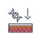 Skin genetics color line icon. Skin layer. Outline pictogram for web page, mobile app, promo.