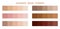 Skin tone color infographic