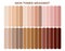 Skin tone index color . infographic