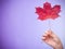 Skincare. Hand with maple leaf as symbol red dry capillary skin.