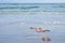 Skinny Dipping Orange Bikini on Beach