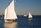 Skipjack Sailing on the Chesapeake Bay