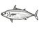 Skipjack Tuna Australian Fish Cartoon Retro Drawing
