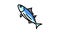 skipjack tuna color icon animation