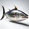 Skipjack tuna (katsuwonus pelamis) on white background.