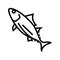 skipjack tuna line icon vector illustration