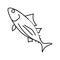 skipjack tuna line icon vector illustration