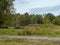 Skipwith Common National Nature Reserve, North Yorkshire, England