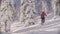 Skitour in Siberia. A man skiing in a snowy forest.